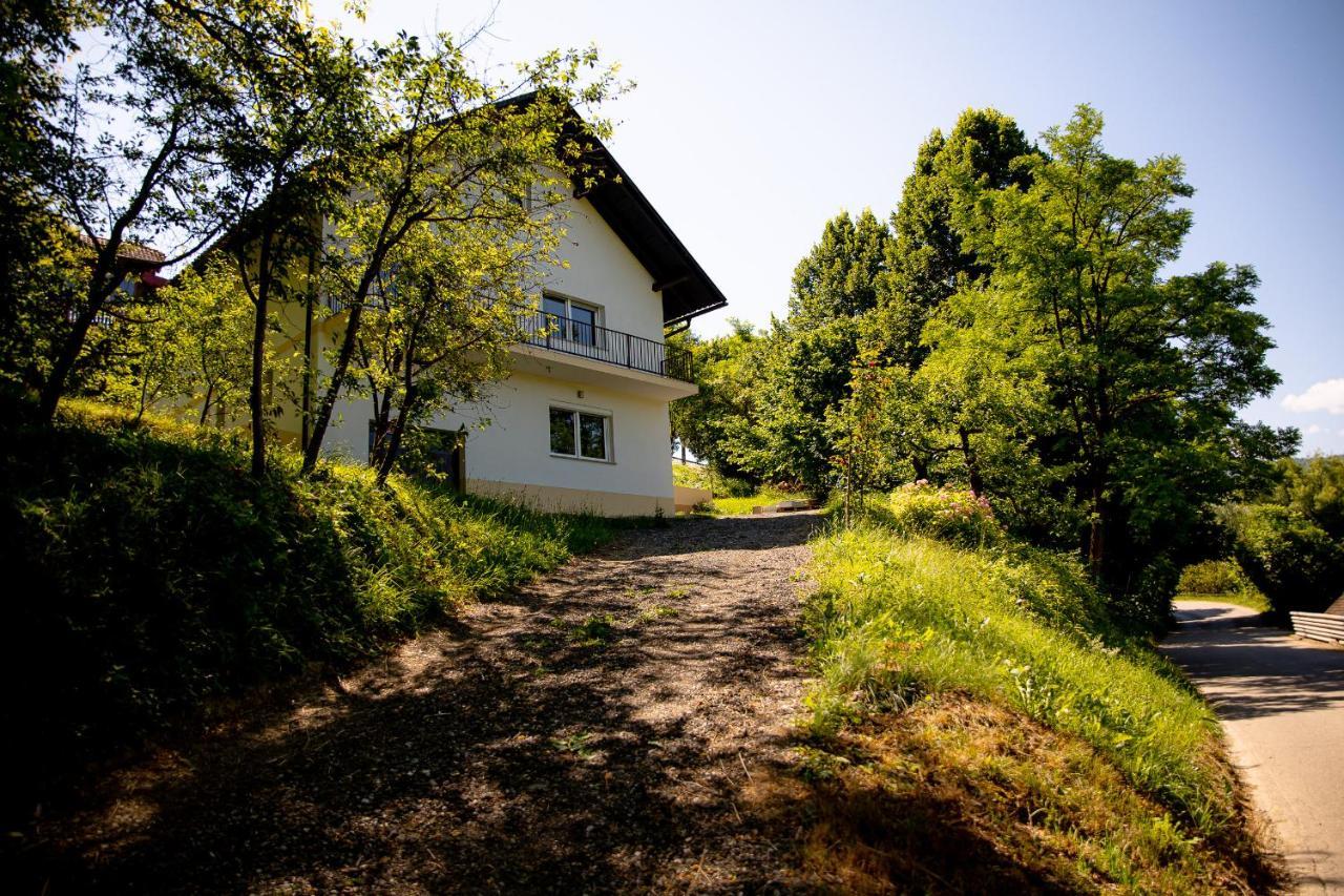 Rustic House In A Beautiful Village Cerklje ob Krki エクステリア 写真